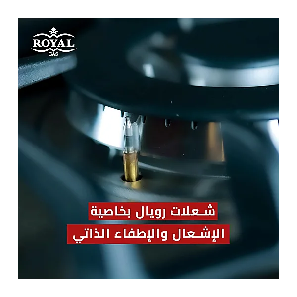 Royal Gas Master Chef Pro Full Safety Fan Cooker